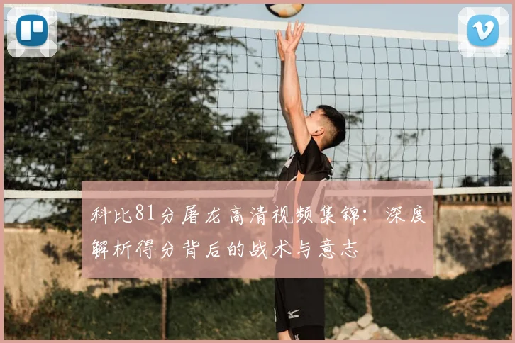 科比81分屠龙高清视频集锦：深度解析得分背后的战术与意志