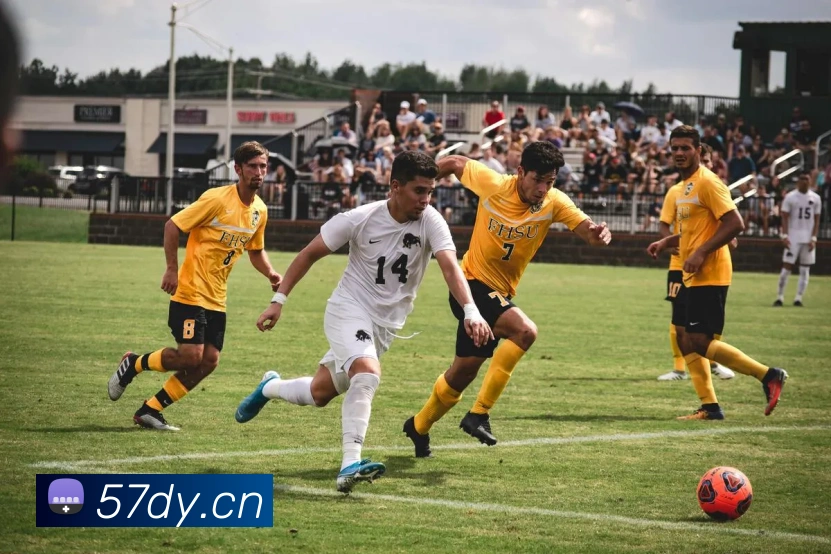 米兰体育官网登陆服务体系